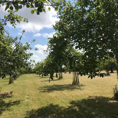 Hèt Koetshuis Villa Oostkapelle Esterno foto