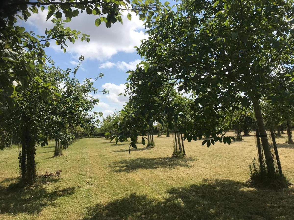 Hèt Koetshuis Villa Oostkapelle Esterno foto